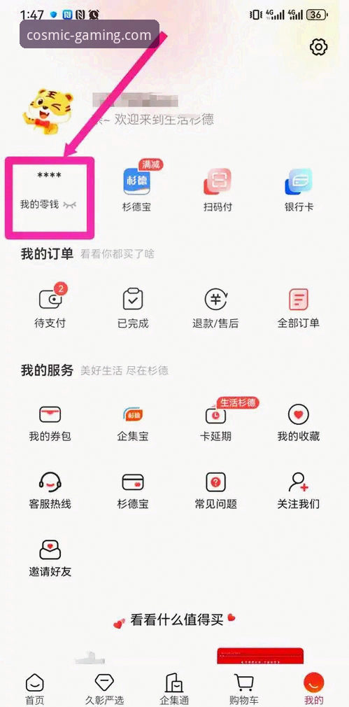 星空体育官网入口 星空体育平台2026新版实用体验指南:从下载到支付的全流程解析
