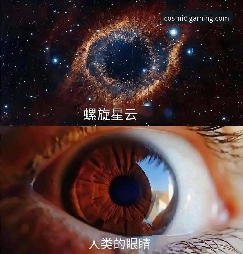 星空体育无缝接入使用技巧全面评测：新手也能快速上手的实用指南